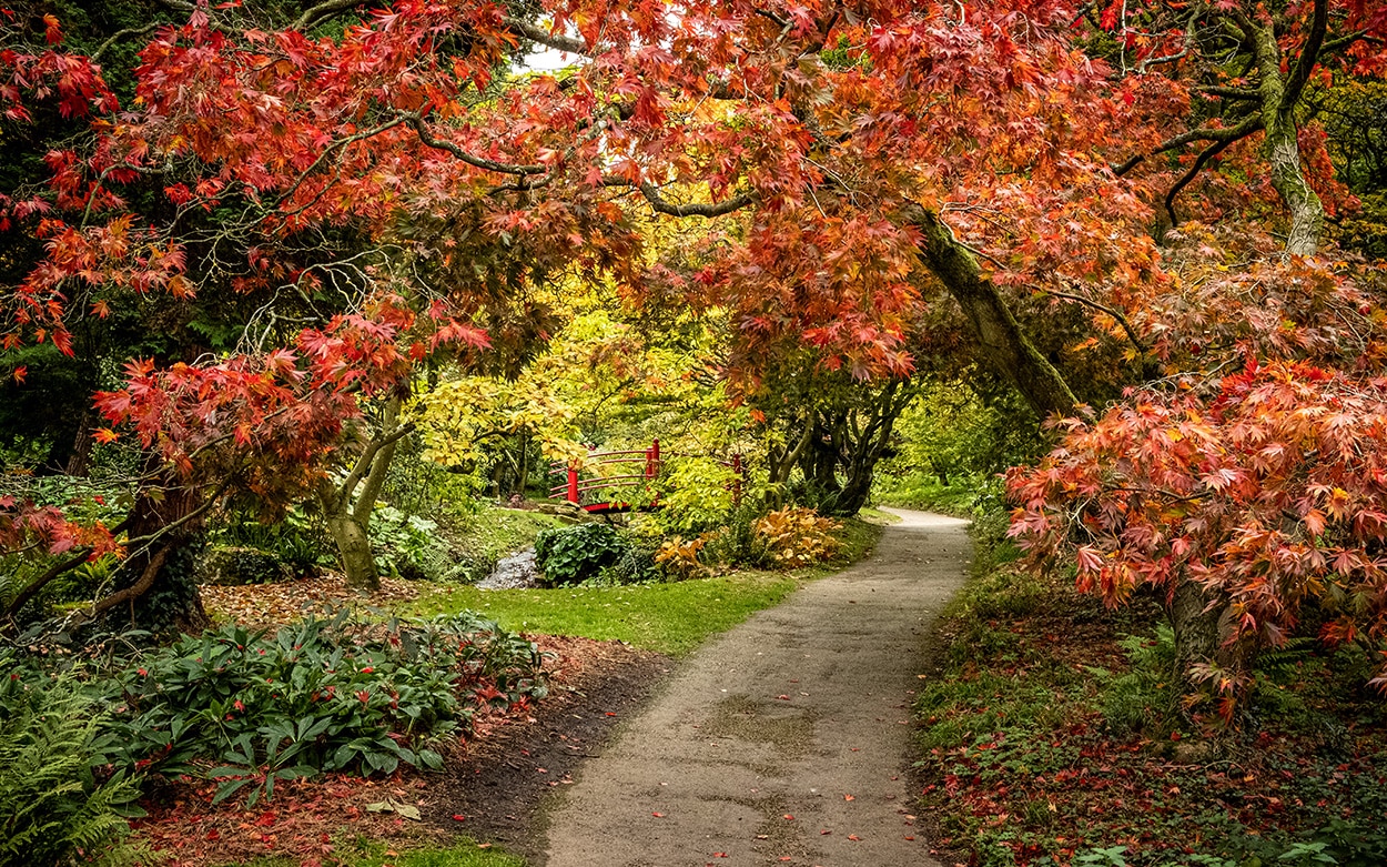 Batsford Arboretum, Gloucestershire
