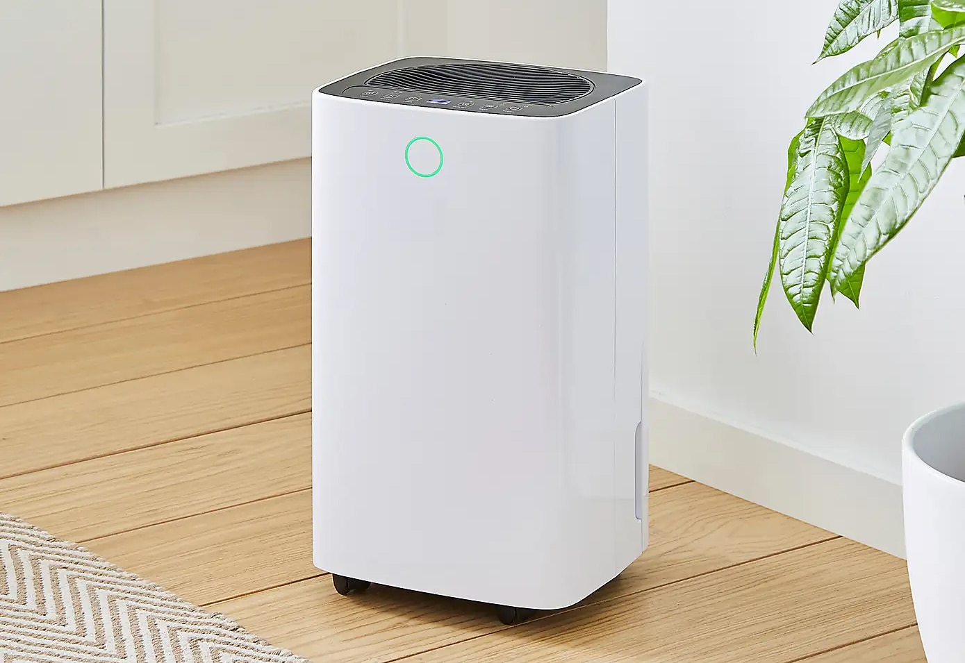 best dehumidifiers