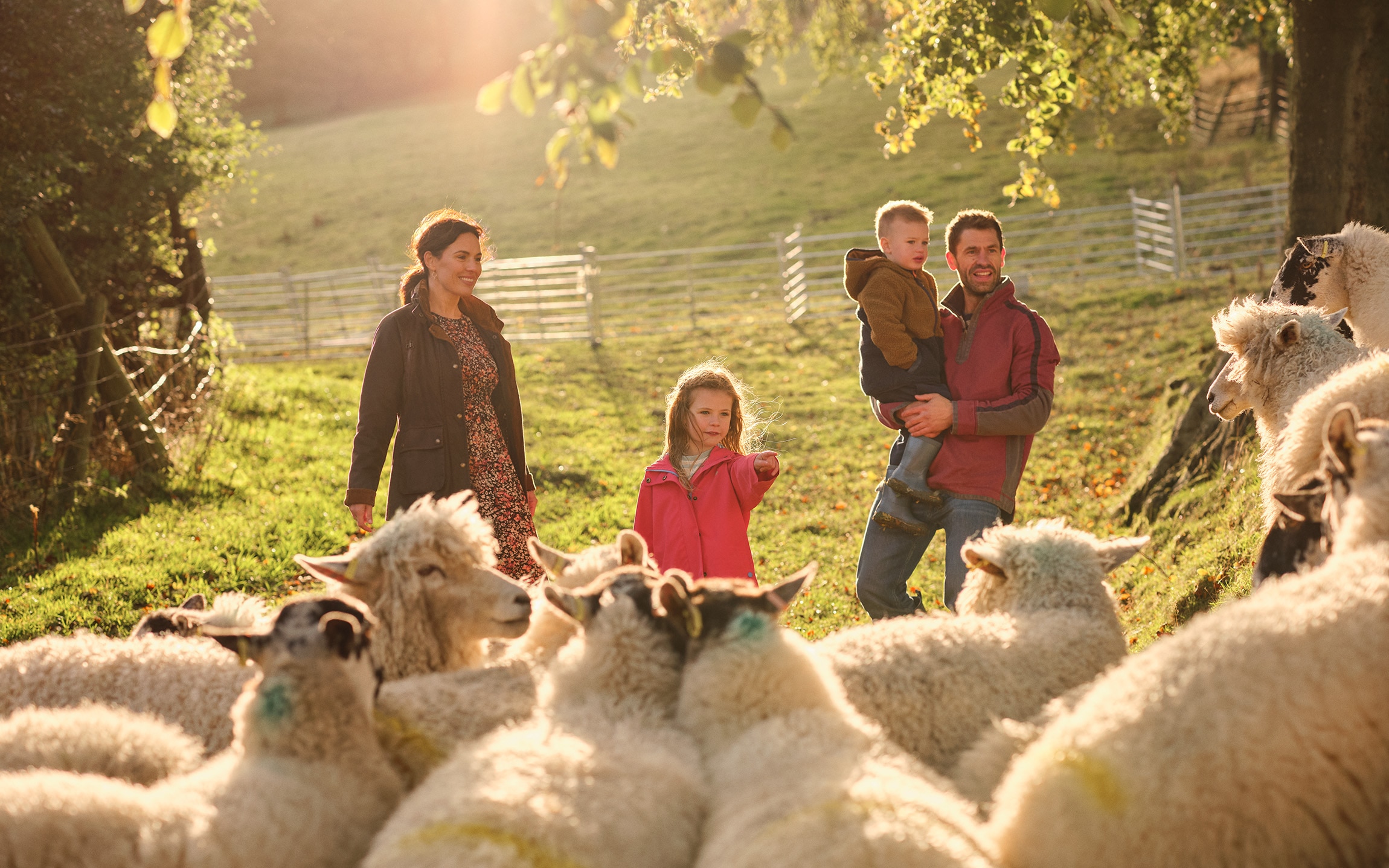 fletchers on the farm