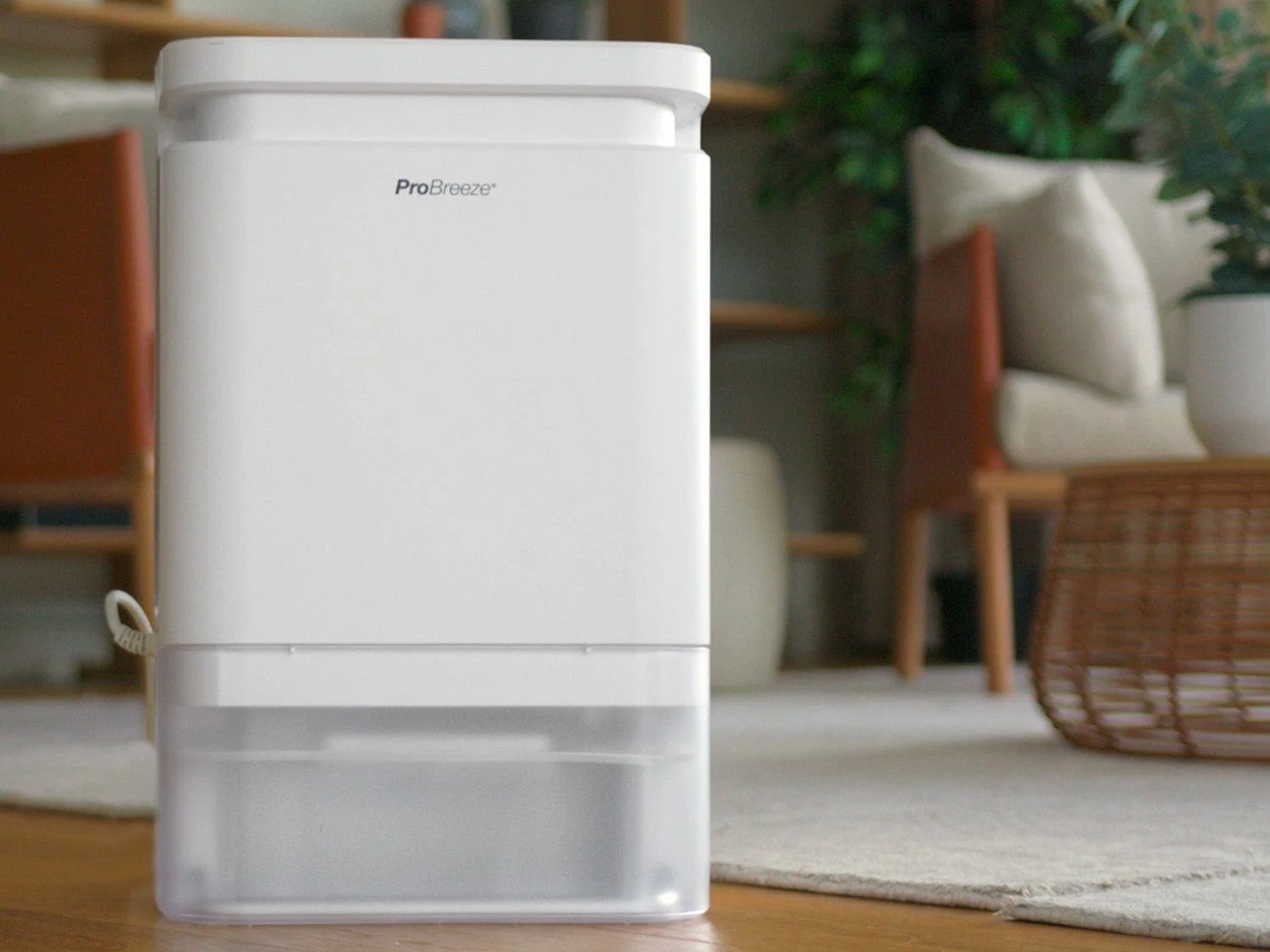best dehumidifiers