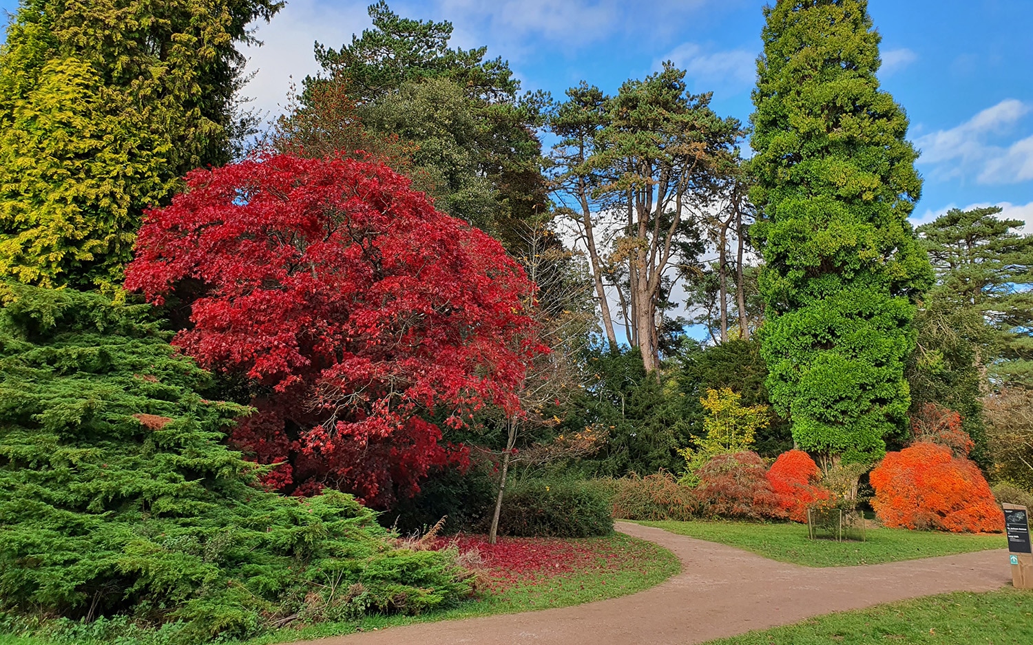 Westonbirt, Gloucestershire