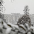 Buckingham Palace in the snow